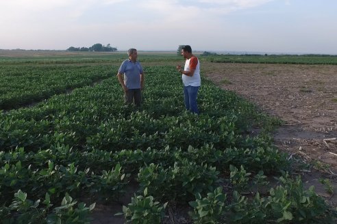 Diego Santos - EEA INTA Paraná -  Actualidad del cultivo de Soja.