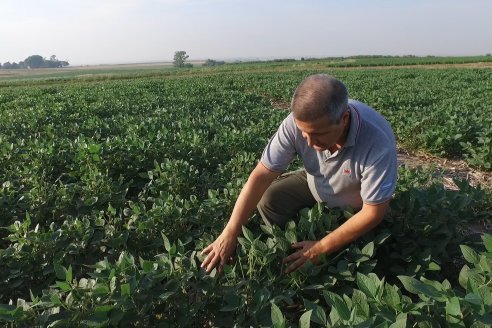 Diego Santos - EEA INTA Paraná -  Actualidad del cultivo de Soja.