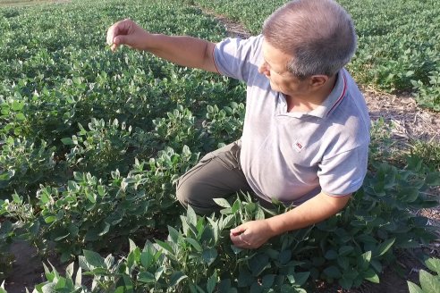 Diego Santos - EEA INTA Paraná -  Actualidad del cultivo de Soja.