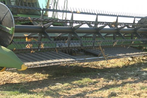 Visita a Establecimiento Grinovero - Trilla de Maiz en Colonia Crespo, Experiencia de usar un drapper para confección de rollos