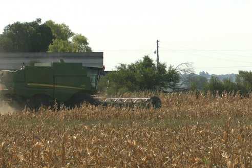 Visita a Establecimiento Grinovero - Trilla de Maiz en Colonia Crespo, Experiencia de usar un drapper para confección de rollos