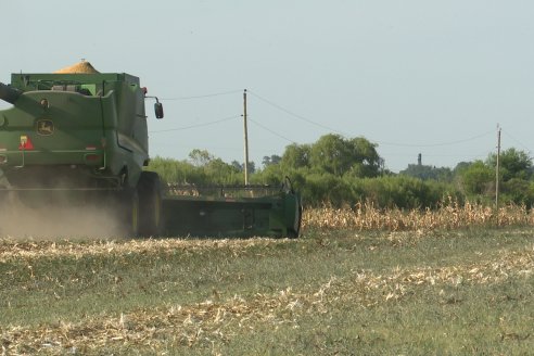 Visita a Establecimiento Grinovero - Trilla de Maiz en Colonia Crespo, Experiencia de usar un drapper para confección de rollos