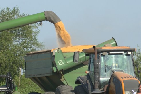 Visita a Establecimiento Grinovero - Trilla de Maiz en Colonia Crespo, Experiencia de usar un drapper para confección de rollos