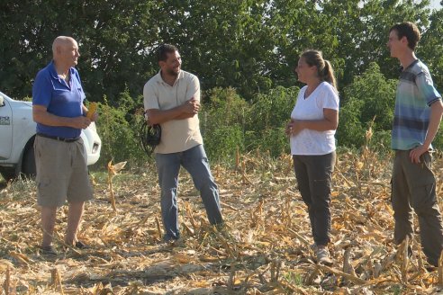 Visita a Establecimiento Grinovero - Trilla de Maiz en Colonia Crespo, Experiencia de usar un drapper para confección de rollos