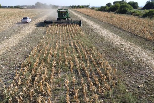 Visita a Establecimiento Grinovero - Trilla de Maiz en Colonia Crespo, Experiencia de usar un drapper para confección de rollos