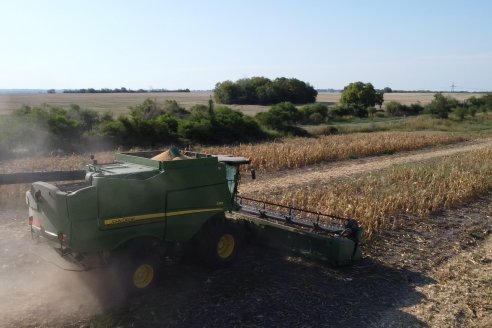 Visita a Establecimiento Grinovero - Trilla de Maiz en Colonia Crespo, Experiencia de usar un drapper para confección de rollos