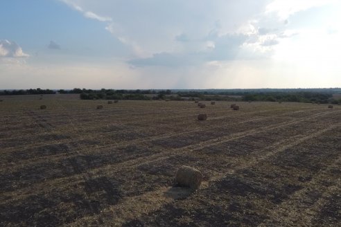 Visita a Establecimiento Grinovero - Trilla de Maiz en Colonia Crespo, Experiencia de usar un drapper para confección de rollos