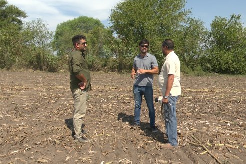 Visita a Establecimiento Grinovero - Paliaron el daño de la seca trillando un girasol que les rindió un promedio de 19 quintales