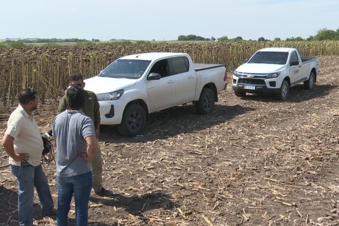 Visita a Establecimiento Grinovero - Paliaron el daño de la seca trillando un girasol que les rindió un promedio de 19 quintales