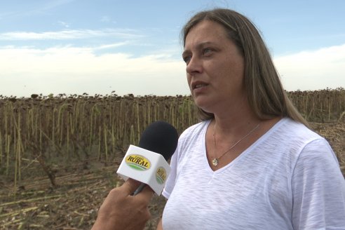 Visita a Establecimiento Grinovero - Paliaron el daño de la seca trillando un girasol que les rindió un promedio de 19 quintales