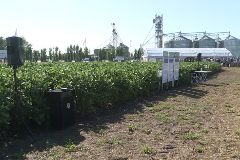 En San Agustín - Santa Fe, ACA realizó la Edición 56 de la A Campo Abierto