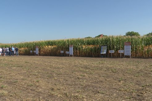 En San Agustín - Santa Fe, ACA realizó la Edición 56 de la A Campo Abierto