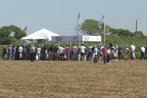 En San Agustín - Santa Fe, ACA realizó la Edición 56 de la A Campo Abierto