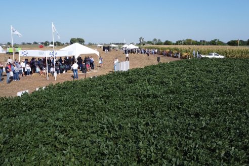 En San Agustín - Santa Fe, ACA realizó la Edición 56 de la A Campo Abierto