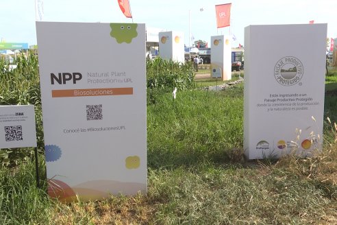 Expoagro 2023:  Algunas postales de lo acontecido el primer día