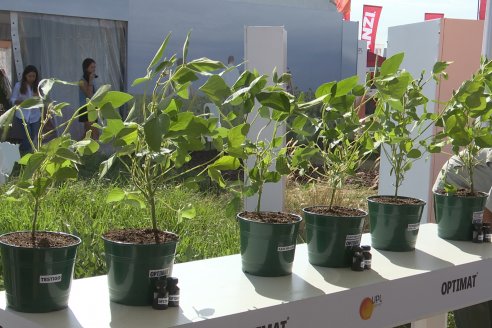 Expoagro 2023:  Algunas postales de lo acontecido el primer día