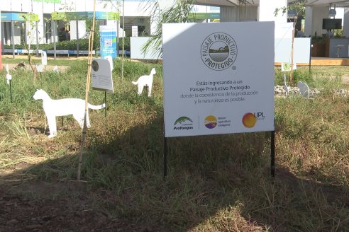 Expoagro 2023:  Algunas postales de lo acontecido el primer día