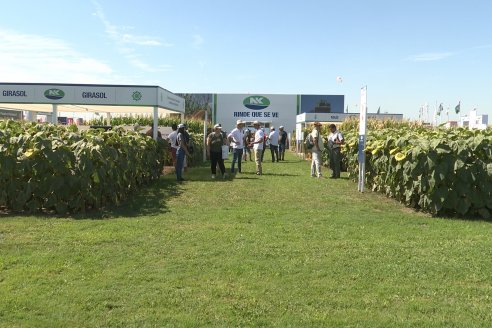 Expoagro 2023:  Algunas postales de lo acontecido el primer día