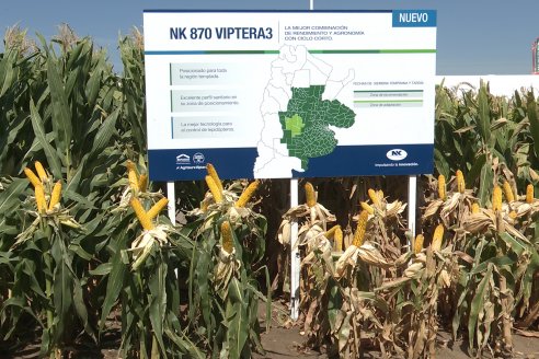 Expoagro 2023:  Algunas postales de lo acontecido el primer día