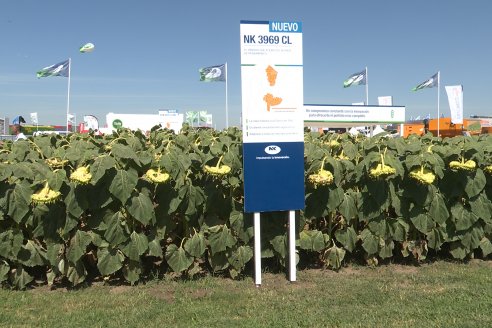 Expoagro 2023:  Algunas postales de lo acontecido el primer día