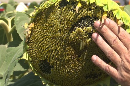 Expoagro 2023:  Algunas postales de lo acontecido el primer día