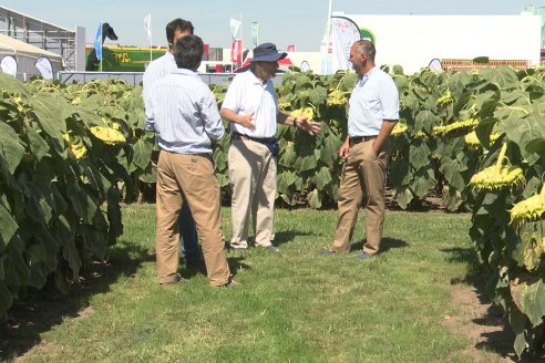 Expoagro 2023:  Algunas postales de lo acontecido el primer día