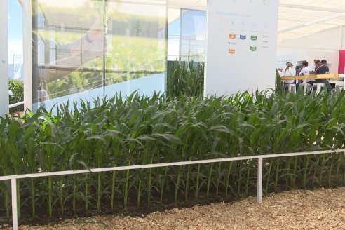 Expoagro 2023:  Algunas postales de lo acontecido el primer día