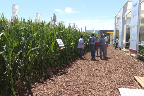 Expoagro 2023:  Algunas postales de lo acontecido el primer día