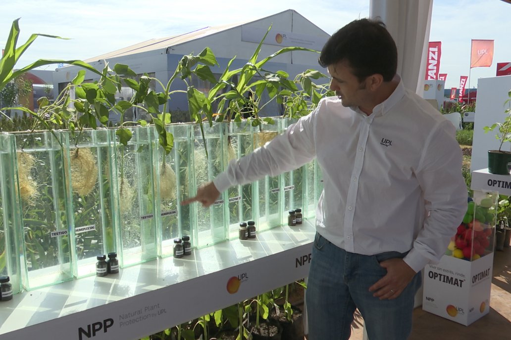 En el stand de la compañía, en el corazón de Expoagro, se ven los desarrollos.