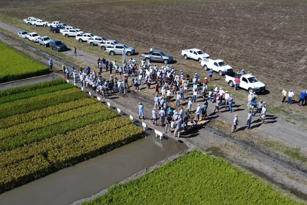 Unas 150 personas acudieron a la cita de la Fundación Proarroz.