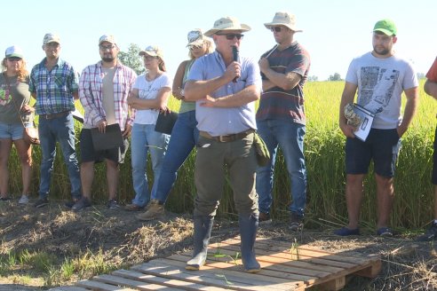 Dia de Campo de Arroz 2023 - Campo Experimental Fundación Proarroz - San Salvador, E.Ríos