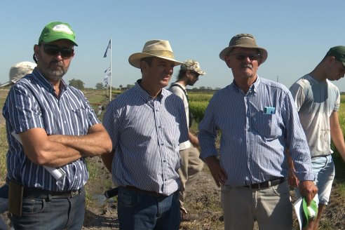 Dia de Campo de Arroz 2023 - Campo Experimental Fundación Proarroz - San Salvador, E.Ríos