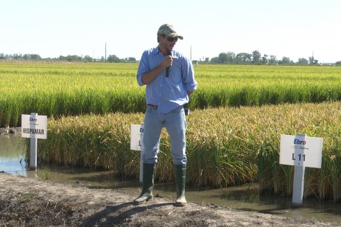 Dia de Campo de Arroz 2023 - Campo Experimental Fundación Proarroz - San Salvador, E.Ríos