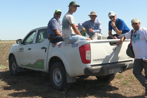 Dia de Campo de Arroz 2023 - Campo Experimental Fundación Proarroz - San Salvador, E.Ríos