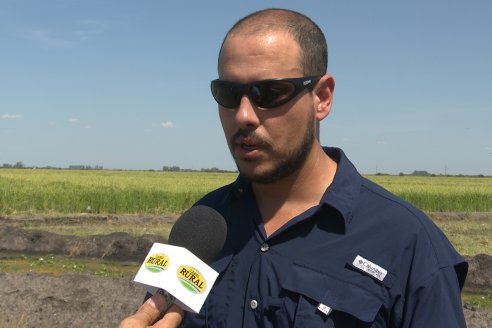 Dia de Campo de Arroz 2023 - Campo Experimental Fundación Proarroz - San Salvador, E.Ríos