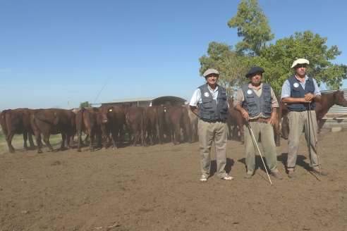 Los festejos por los 200 años de Shorthorn comenzaron en Cabaña La Adela