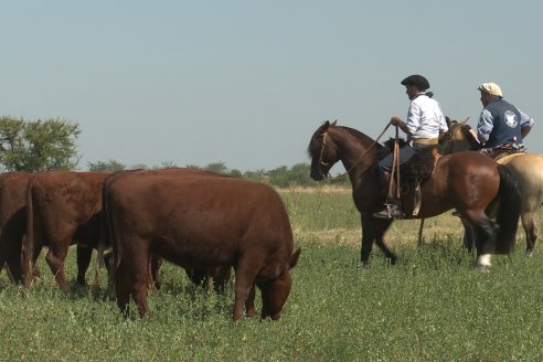 Los festejos por los 200 años de Shorthorn comenzaron en Cabaña La Adela