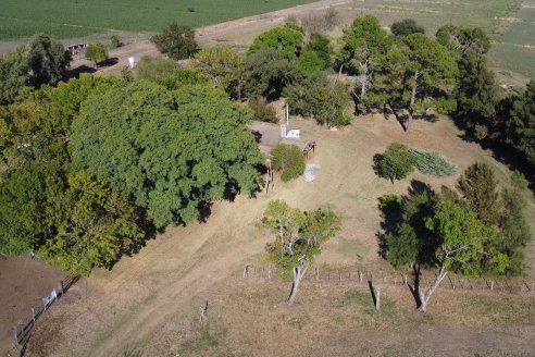 Los festejos por los 200 años de Shorthorn comenzaron en Cabaña La Adela