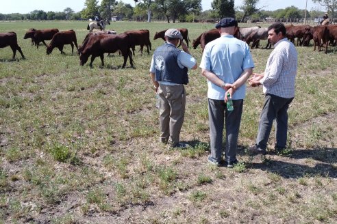 Los festejos por los 200 años de Shorthorn comenzaron en Cabaña La Adela