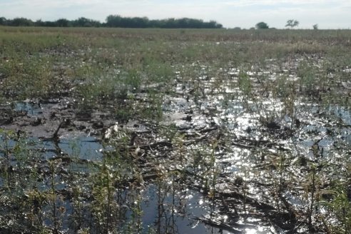 El escenario global indica que las lluvias vendrán con demoras