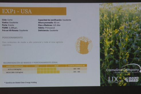 Camelina Tour 2023 - Macro Seed y LDC - Villaguay. Entre Ríos - Un cultivo que invita a la diversificación sustentable