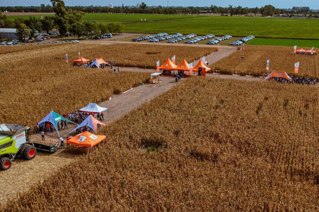 Desde el aire, un DAR a todo color, con mucho público y ganas de capacitarse. Desde el aire, un DAR a todo color, con mucho público y ganas de capacitarse.
