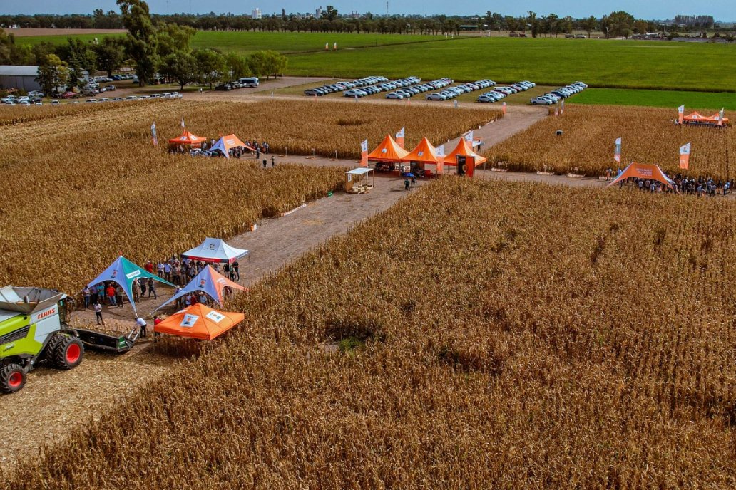 Desde el aire, un DAR a todo color, con mucho público y ganas de capacitarse.