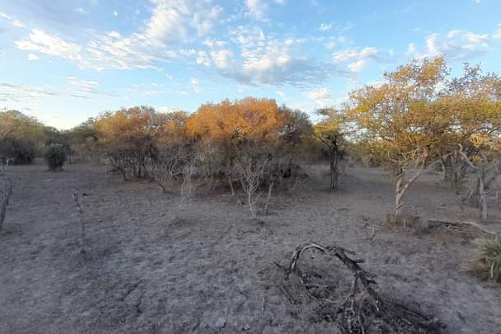 Así es el escenario de este martes en campos de Feliciano