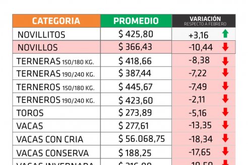 Precios Farer: la hacienda en pie bajó casi 9% en la provincia