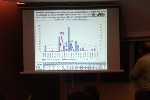 Charla Técnica en Paraná - Syngenta e INSER - 