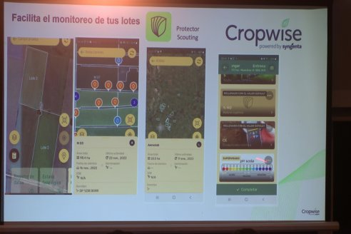 Charla Técnica en Paraná - Syngenta e INSER - 
