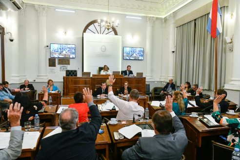 Unánime voto del Senado a favor de la condonación del Impuesto Inmobiliario Rural en Entre Ríos