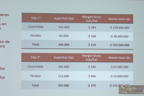 Conferencia en la BolsaCER - Estimaciones de Perdidas Económicas en la Campaña 2022/23 en el agro entrerriano