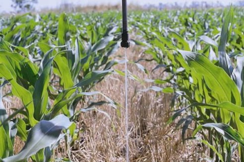 Con educación, instan a comprar fertilizantes a cualquier precio